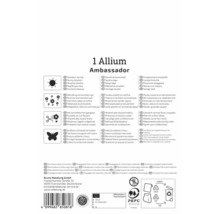 Rückseite der Verpackung für Allium Ambassador mit Hinweisen zu Standort, Eignung als Schnittblume, Insektenfreundlichkeit und Zertifizierungen.