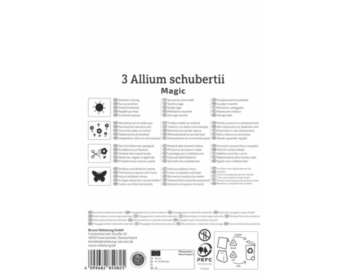 Rückseite Allium schubertii Magic Packung: sonniger Standort, mehrjährig, Schnittblume, insektenfreundlich, PEFC Logo und Bruno Nebelung Logo.