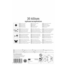 Verso paquet 20 bulbes Allium sphaerocephalon avec informations sur lieu ensoleillé, insectes, PEFC Logo et Sustainable Supplier Logo.