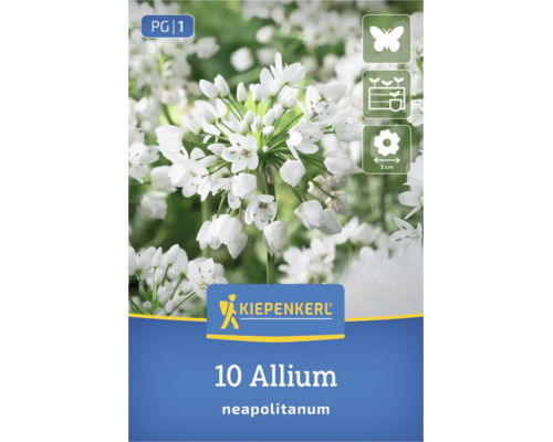 Kiepenkerl Logo, 10 Allium neapolitanum Blumenzwiebeln, insektenfreundlich, für Töpfe geeignet, Blütengröße circa 5 Zentimeter.