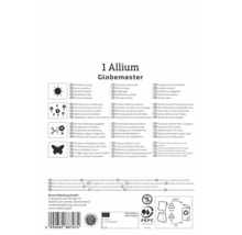 Rückseite der Verpackung von Allium Globemaster mit Hinweisen zu Standort, Mehrjährigkeit, Schnittblumeneignung und Insektenfreundlichkeit.