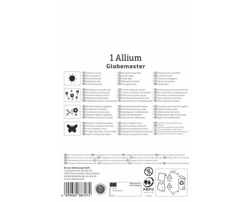 Rückseite der Verpackung von Allium Globemaster mit Hinweisen zu Standort, Mehrjährigkeit, Schnittblumeneignung und Insektenfreundlichkeit.