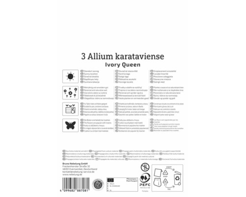 Rückseite der Verpackung Allium karataviense Ivory Queen mit Symbolen für sonnigen Standort, Mehrjährigkeit, Topfeignung, Insekten und PEFC Logo.