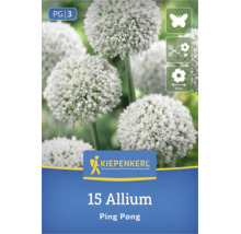 Kiepenkerl Logo, 15 Allium Ping Pong Blumenzwiebeln, insektenfreundlich, als Schnittblume geeignet, Blütendurchmesser circa 6 Zentimeter.