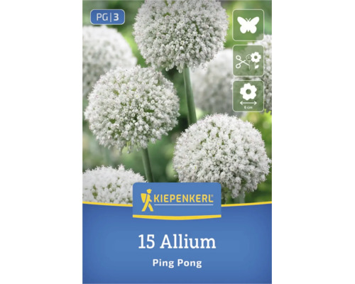 Kiepenkerl Logo, 15 Allium Ping Pong Blumenzwiebeln, insektenfreundlich, als Schnittblume geeignet, Blütendurchmesser circa 6 Zentimeter.