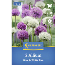 Kiepenkerl 2 Allium Blue and White Duo Blumenzwiebeln, Kiepenkerl Logo, Preisgruppe 5, Schmetterlingsmagnet, Schnittblume, 10 Zentimeter Blütengröße.