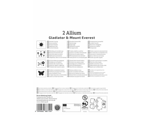 Rückseite der Packung für zwei Allium Gladiator und Mount Everest mit Symbolen für sonnigen Standort, Mehrjährigkeit, Schnittblumen und Insekten.