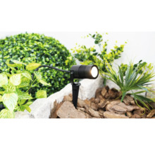 Projecteur de jardin à LED noir avec piquet de terre dans un parterre avec du paillis et des plantes vertes.