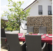 Mur de gabions servant de brise-vue sur une terrasse avec une table à manger dressée et des chaises de jardin en rotin synthétique.