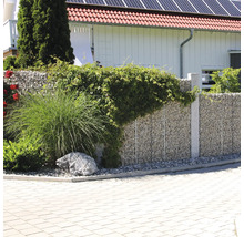 Moderner Garten mit Gabionenwand aus Natursteinen, bepflanzt mit Ziergras und Kletterpflanzen vor einer hell gepflasterten Fläche.