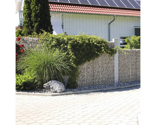 Moderner Garten mit Gabionenwand aus Natursteinen, bepflanzt mit Ziergras und Kletterpflanzen vor einer hell gepflasterten Fläche.