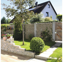 Garten mit Gabionenwand aus Natursteinen, Granitpfosten, Holztor und einer niedrigen Mauer aus Steinblöcken.