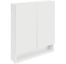 Armoire murale avec deux portes et un compartiment ouvert dans la partie inférieure.