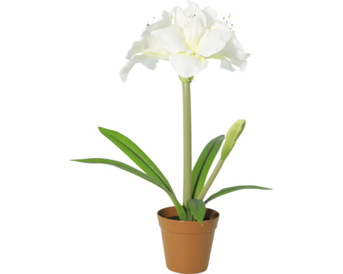 Künstliche Amaryllis mit weißen Blüten und grünen Blättern im Topf.