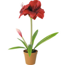 Künstliche Amaryllis im Topf mit roter Blüte, Knospe und grünen Blättern.