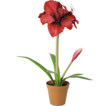 Künstliche Amaryllis mit einer roten Blüte und einer Knospe im Topf.