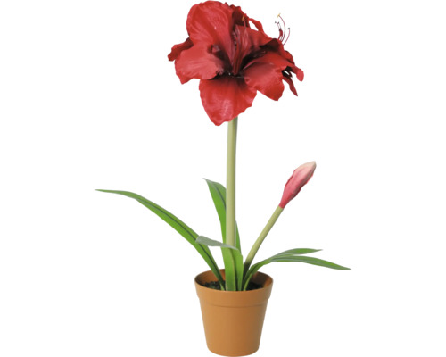 Künstliche Amaryllis mit einer roten Blüte und einer Knospe im Topf.