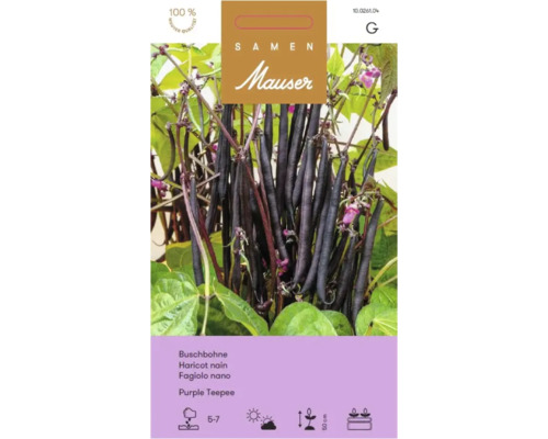 Logo Samen Mauser sur sachet de graines de haricot nain Purple Teepee avec gousses violet foncé, semis de mai à juillet, hauteur 50 centimètres.