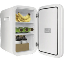 Offener weisser Minikühlschrank mit Bananen, grünen Glasflaschen und kleinen braunen Flaschen in einem Karton.