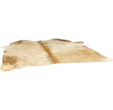 Tapis en peau de vache naturelle de forme irrégulière.