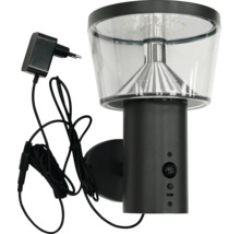 Schwarze Außenwandleuchte mit Bewegungsmelder, klarem Schirm, geripptem Reflektor und Netzstecker mit Kabel.