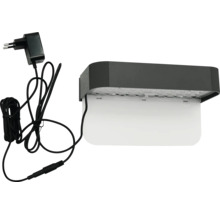 LED-Wandleuchte für aussen mit Stromkabel und Netzstecker.