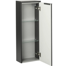 Meuble latéral de salle de bain étroit avec une porte, deux tablettes en verre et corps anthracite.
