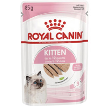 Royal Canin Kitten nourriture humide pour chatons jusqu’à 12 mois, mousse en sauce, sachet de 85 grammes