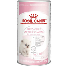 Lait de remplacement Royal Canin Babycat Milk pour chatons de 0 à 2 mois, boîte de 300 grammes.