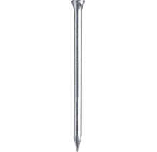 BÄR Clous de plinthe galvanisés 1,4 x 25 mm 1000 pièces