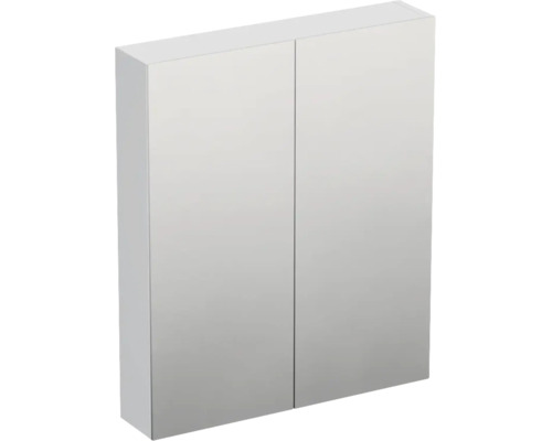 Armoire de toilette à deux portes pour la salle de bain.