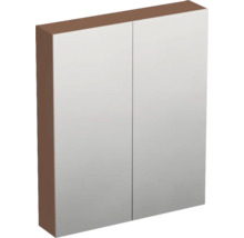 Badezimmer-Spiegelschrank mit zwei Türen und braunem Korpus.