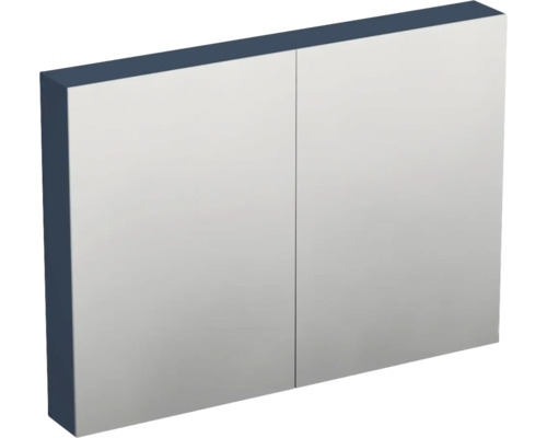 Spiegelschrank für das Badezimmer mit zwei Spiegeltüren und dunklem Korpus.