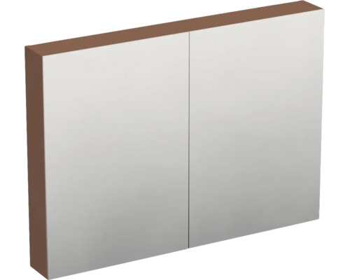 Zweitüriger Spiegelschrank für das Badezimmer mit Korpus in Holzoptik.