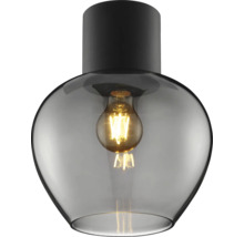 Plafonnier avec abat-jour en verre transparent et ampoule visible.