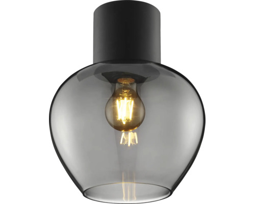 Plafonnier avec abat-jour en verre transparent et ampoule visible.