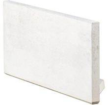 L-Stein Ecke unbewehrt Sichtbeton grau 60 x 100 x 5 cm