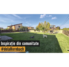 Grand jardin avec une pelouse entretenue, une tondeuse à gazon, un chien, une cabane pour enfants avec toboggan et un trampoline.