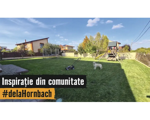 Grand jardin avec une pelouse entretenue, une tondeuse à gazon, un chien, une cabane pour enfants avec toboggan et un trampoline.