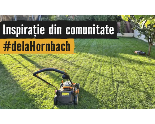 Pelouse bien entretenue avec une tondeuse à gazon et un robot de tonte. Texte Inspiration de la communauté hashtag de chez Hornbach.