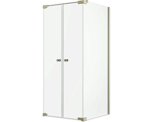 Cabine de douche avec porte battante double et paroi latérale en verre clair avec ferrures métalliques.