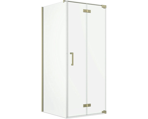 Cabine de douche d'angle avec parois en verre transparent, une porte pivotante et des ferrures en métal.
