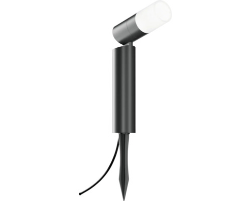 Luminaire de jardin en métal gris foncé avec piquet et tête réglable.