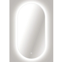 Ovaler LED-Badezimmerspiegel mit Hintergrundbeleuchtung und Touch-Sensor.