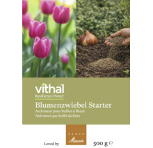 Vithal Blumenzwiebel Starter 500 Gramm Packung mit Tulpen und Anwendung beim Einpflanzen einer Zwiebel.