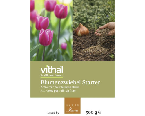 Vithal Blumenzwiebel Starter 500 Gramm Packung mit Tulpen und Anwendung beim Einpflanzen einer Zwiebel.