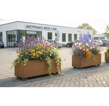 Bac à plantes cloison Palatino Lotte Steps acier Corten 150 x 50 x 59,5 cm rouille