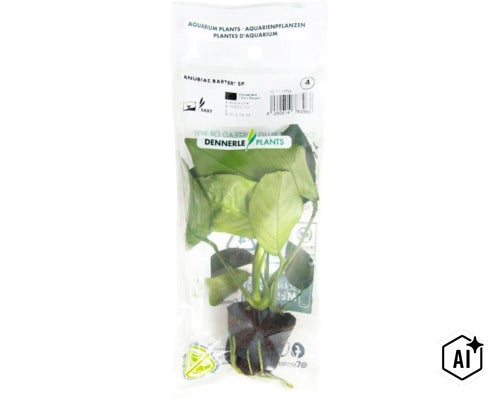 Plante d aquarium Anubias barteri var. nana en emballage plastique par Dennerle Plants (Image AI modified or generated)