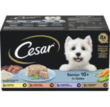 Nourriture pour chiens Cesar Senior 10 plus en gelée, multipack de 8 barquettes de 150 grammes, saveurs variées, ingrédients naturels, recyclable.