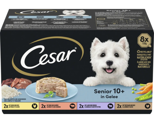 Nourriture pour chiens Cesar Senior 10 plus en gelée, multipack de 8 barquettes de 150 grammes, saveurs variées, ingrédients naturels, recyclable.